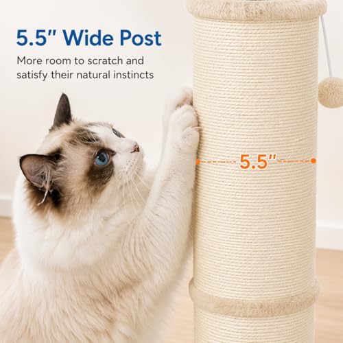 Cat Scratching Post with 5.5 Inch Diameter Sisal Post, 32 Inch - Image 3