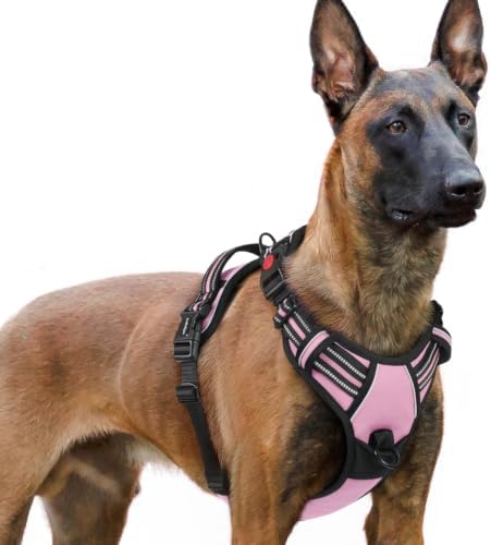 rabbitgoo Dog Harness for Large, Updated Easy On & Off by rabbitgoo