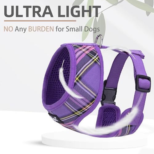 PUPTECK Small Dog Harness and Leash Set No Pull - Image 5