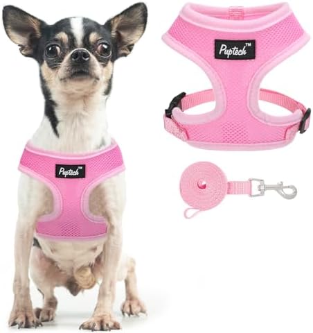 PUPTECK Small Dog Harness and Leash Set No Pull by PUPTECK