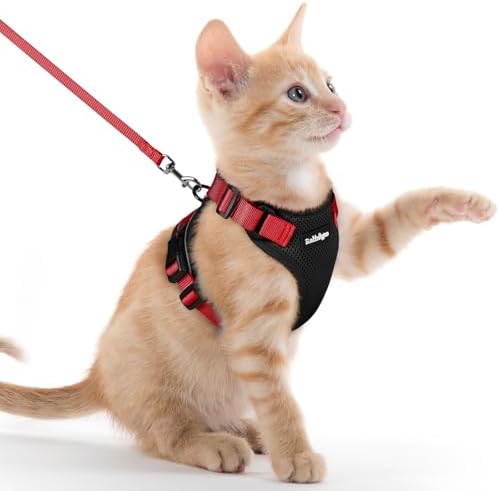 rabbitgoo Cat Harness and Leash Set, Escape Proof Vest by rabbitgoo
