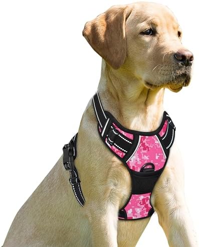BARKBAY Dog Harness No Pull for Small Sized Dog Front Back Clips, Dog Vest by BARKBAY