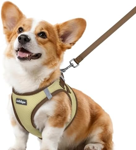 rabbitgoo Dog Harness Small Sized and Leash Set, Step in Soft Vest by rabbitgoo