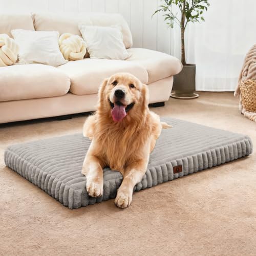 Dog Beds for Large Sized Dog, Orthopedic Foam by Cozila