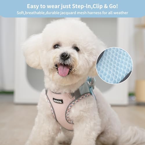 AIITLE XXS Dog Harness & Leash Set - Image 5