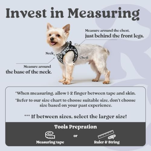 rabbitgoo Step-in Small Dog Harness, Puppy Vest - Image 2