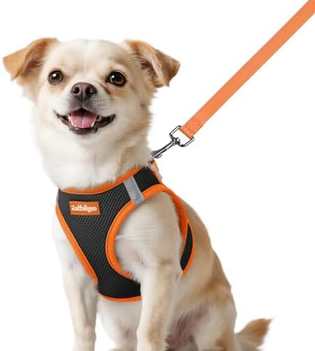 rabbitgoo Dog Harness Small Sized and Leash Set, Step in Soft Vest by rabbitgoo