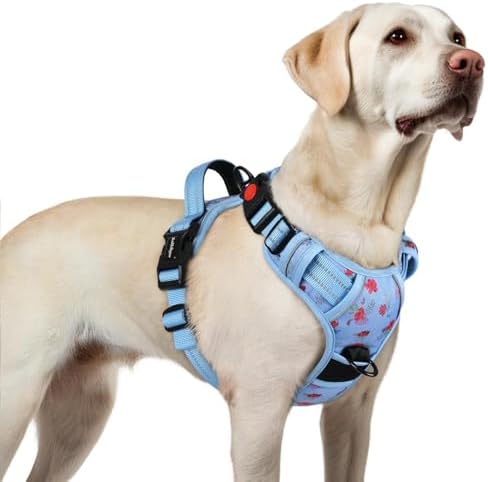 rabbitgoo Dog Harness for Large, Updated Easy On & Off by rabbitgoo