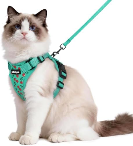 rabbitgoo Cat Harness and Leash Set, Escape Proof Vest, Cherry Grove by rabbitgoo