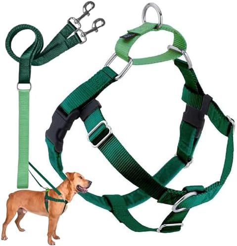 2 Hounds Design Freedom No Pull Dog Harness and Leash, Kelly Green by 2HoundsDesign