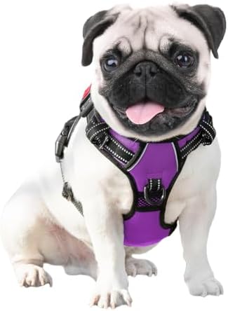 PHOEPET No Pull Dog Harnesses for Small Dogs Reflective Adjustable - Image 6
