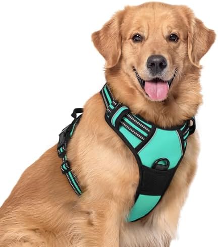 rabbitgoo Dog Harness, No Pull for Large Dogs by rabbitgoo