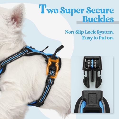 rabbitgoo Dog Harness, No Pull for Small Dogs - Image 3