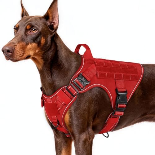 rabbitgoo Tactical Dog Harness for Large, Heavy Duty Military No Pull Vest by rabbitgoo