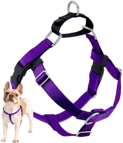 2 Hounds Design Freedom No Pull Dog Harness, 1 inch XXL by 2HoundsDesign