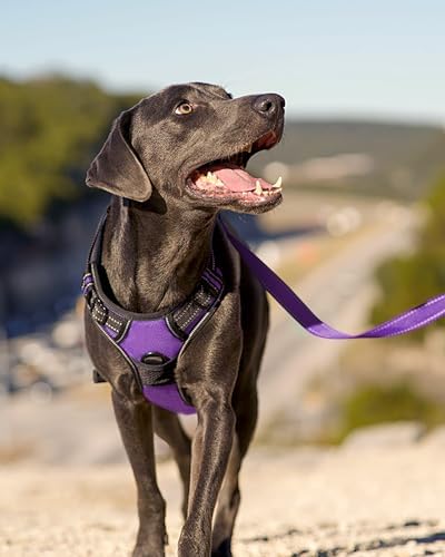 Joytale No Pull Dog Harness for Large Dogs, Front Clip - Image 6