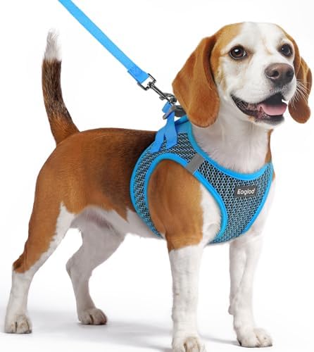 Eagloo Small Dog Harness and Leash Set, Step in Medium Small Puppy Pet Vest by GoExplorewithEagloo