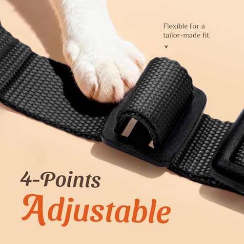 Dooradar Cat Harness and Leash Set, Adjustable and Escape Proof - Image 3