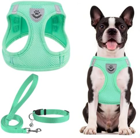 PUPTECK Dog Harness, Collar and Leash Set No Pull by PUPTECK
