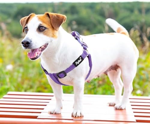 PUPTECK No Pull Dog Harness Small Sized Step-in Adjustable Puppy Vest - Image 6