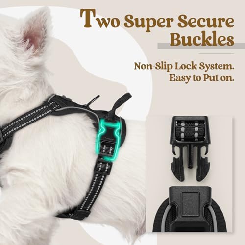 rabbitgoo Dog Harness, No Pull for Small Dogs - Image 3