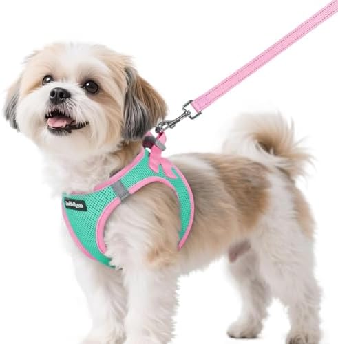 rabbitgoo Dog Harness Small Sized and Leash Set, Step in Soft Vest by rabbitgoo