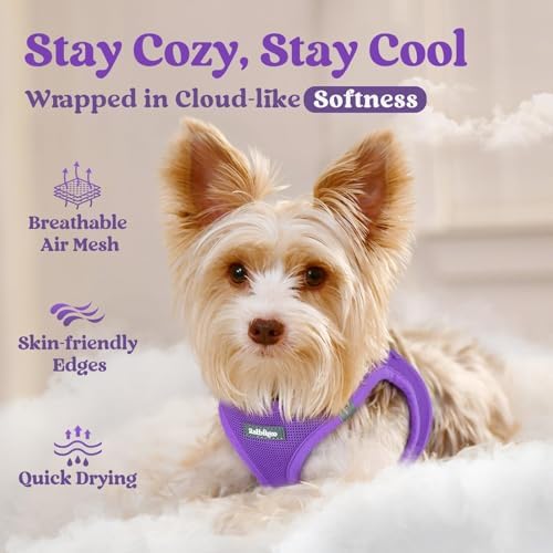 rabbitgoo Step-in Small Dog Harness, Puppy Vest - Image 2