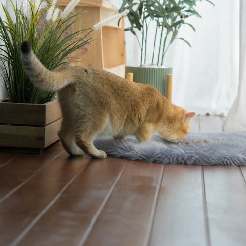 Fluffy Cat Bed Mat 19.6"x31.4" Furry Small Dog Cats Cushions - Image 2