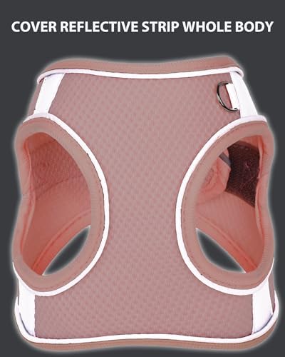 Small Dog Harness and Leash Set - Image 4