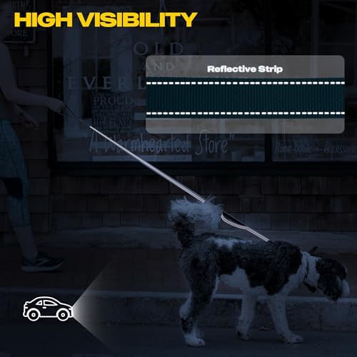 Fida 10 FT Heavy Duty Dog Leash, Dual Padded Handles - Image 5