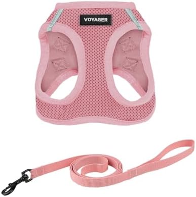 Voyager Step-in Air Cat Harness & Leash Set by BestPetSuppliesLLC