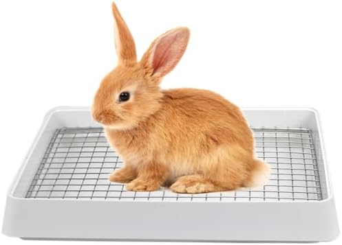 PODOO Rabbit Litter Box – Training Potty Tray by PODOO