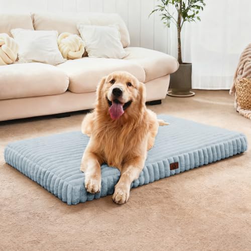 Large Orthopedic Dog Crate Bed by Cozila