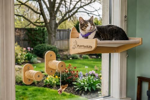 Cat Window Perch for Indoor Cats – 2-in-1 Solid Wood Cat Hammock Window Seat & by PURRFECTLIFE