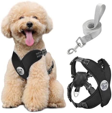 Pawaboo Small Dog Harness and Leash Set, Puppy Harness X-Frame Adjustable by Pawaboo