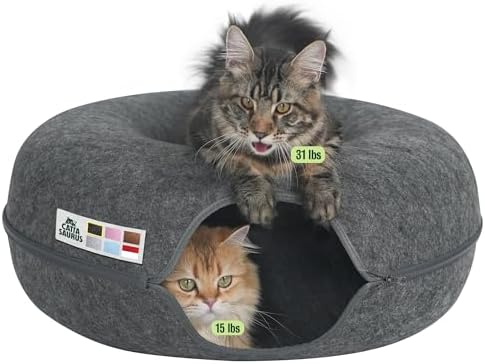 Cattasaurus Peekaboo Cat Cave Donut by Cattasaurus