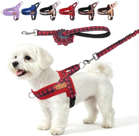 BEAUTYZOO Small Dog Harness and Leash Set, No Pull Step in Puppy Vest by BEAUTYZOO