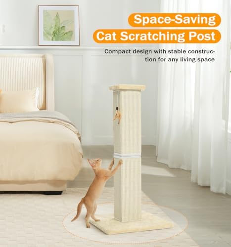 Made4Pets Cat Scratching Post for Indoor Cats, Sisal Cat Scratcher - Image 5
