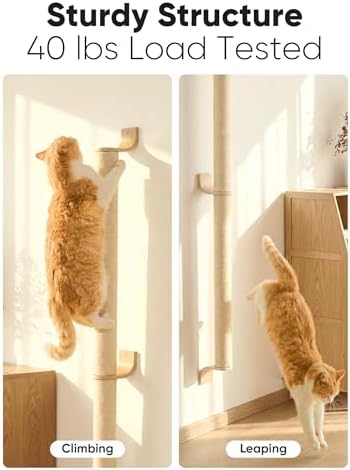 FUKUMARU Cat Wall Scratcher - Image 3