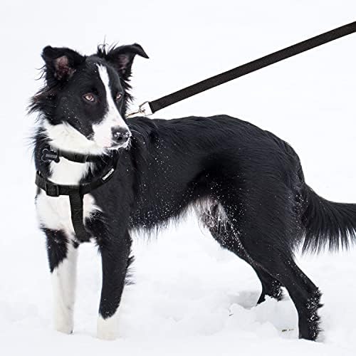 No Pull Dog Harness, Leash & Collar Set, Adjustable Step-in Vest - Image 5