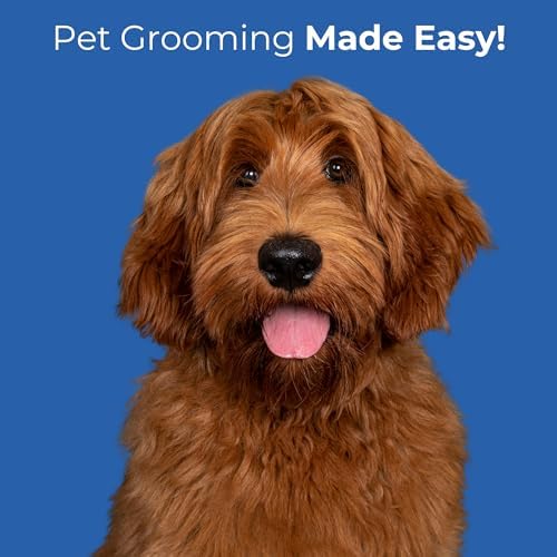 Pet Grooming Scissors Set - Image 7