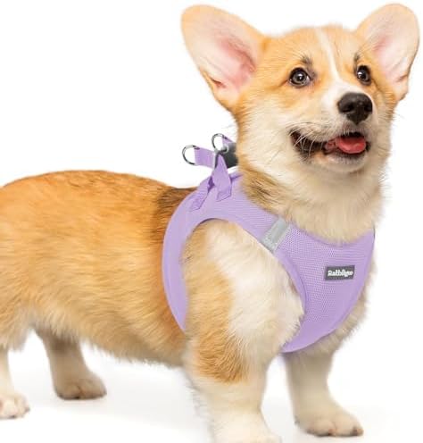 rabbitgoo Step-in Small Dog Harness, Puppy Vest by rabbitgoo