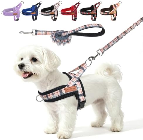 BEAUTYZOO Small Dog Harness and Leash Set, No Pull Step in Puppy Vest by BEAUTYZOO