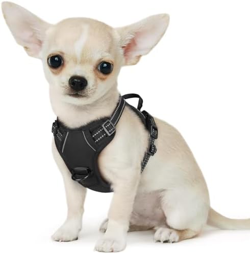 Eagloo Dog Harness for Small Dogs, No Pull Pet Vest by GoExplorewithEagloo