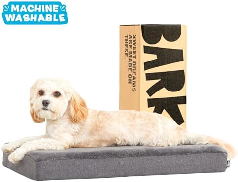 BarkBox Orthopedic Dog Bed - Image 5