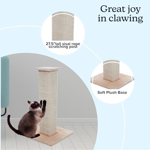 Cat Scratching Post with Carpeted Base - Image 2