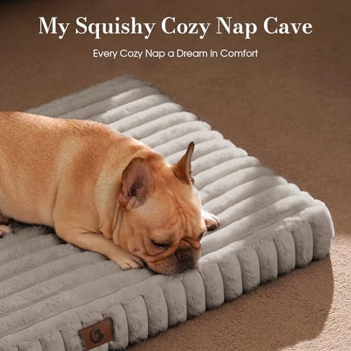 Medium Dog Bed Orthopedic Foam - Image 2