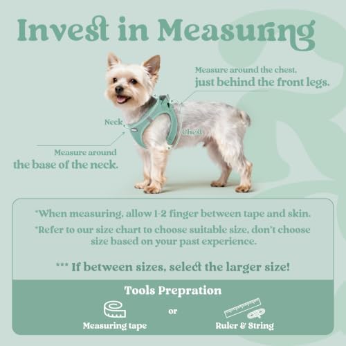 rabbitgoo Step-in Small Dog Harness, Puppy Vest - Image 2