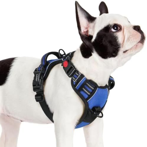 rabbitgoo Dog Harness Small Sized, Updated Easy On & Off by rabbitgoo