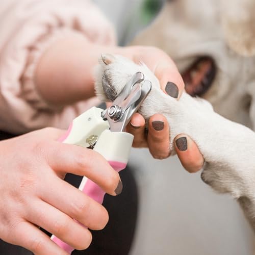 Pet Nail Clippers and Trimmers Set Safety Guard to Avoid Over Cutting Razor - Image 4